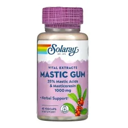 Mastic Gum Extract, 45 capsule vegetale, Secom