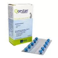 Ogestan 18g-cps.moi x 30 - Lab. Macanthy