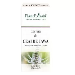 Tinctura Ceai Jawa, 120ml, Plantextrakt