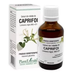 Extract din mladite de Caprifoi, 50 ml, Plant Extrakt