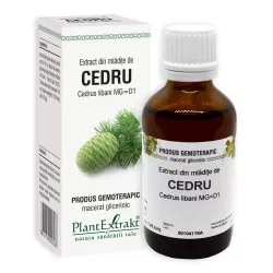 Extract din mladite de Cedru, 50 ml, Plant Extrakt