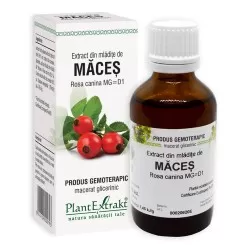 Extract din mladite de Maces, 50 ml, Plant Extract