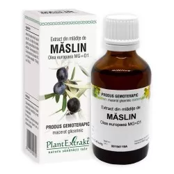 Extract din mladite de Maslin, 50 ml, Plant Extrakt