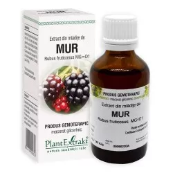 Extract din mladite de mur, 50 ml, Plant Extrakt