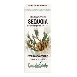 Extract din mladite de Sequoia, 50 ml, Plant Extrakt