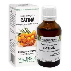 Extract din muguri de Catina, 50 ml, Plant Extrakt