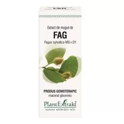 Extract din muguri de Fag, 50 ml, Plant Extrakt