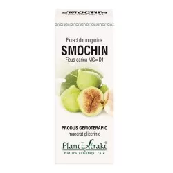 Extract din muguri de Smochin, 50 ml, Plant Extrakt