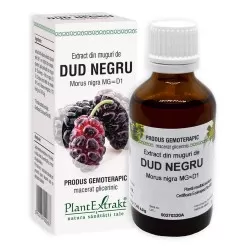 Extract din muguri de dud negru, 50ml, Plantextrakt