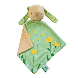 Promotie Iepuras de plus