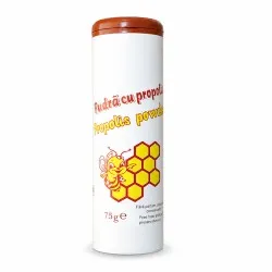 Pudra de talc cu Propolis, 75 g, Mebra