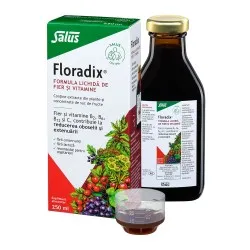 Formula Lichida de Fier si Vitamine Floradix, 250ml, Salus