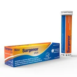 Sargenor Plus Aroma Lamaie, 14 comprimate efervescente, Viatris