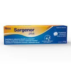 Sargenor Plus Aroma Lamaie, 14 comprimate efervescente, Viatris