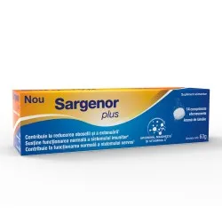 Sargenor Plus Aroma Lamaie, 14 comprimate efervescente, Viatris