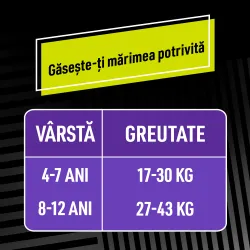 Scutece-chilotel pentru noapte Ninjamas pt Fetite 4-7 ani, 17-30 kg, 60 buc, Pampers