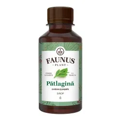 Sirop Patlagina cu Miere si Propolis, 200ml, Faunus Plant