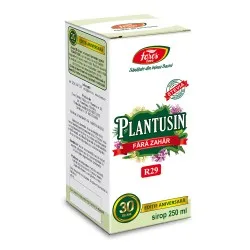 Sirop Plantusin pentru diabetici, 250 ml, Fares