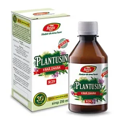 Sirop Plantusin pentru diabetici, 250 ml, Fares