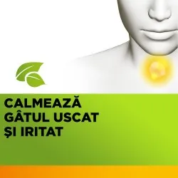 Strepimuno cu miere, catina si propolis, 24 pastile de supt, Reckitt Benckiser