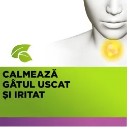 Strepimuno cu soc si echinacea, 24 pastile de supt, Reckitt Benckiser