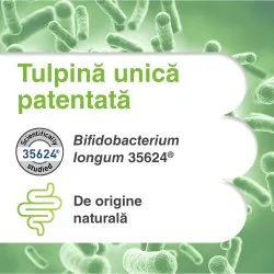 Symbiosys Alflorex, 30 capsule, Biocodex