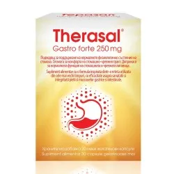 Gastro Forte 250mg, 30 capsule, Therasal