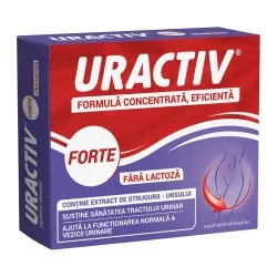 Uractiv Forte fara Lactoza, 20 capsule, Terapia