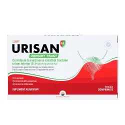 Urisan Urinary Tract, 10 comprimate, Sun Wave Pharma