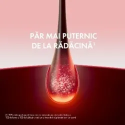 Sampon Energy + cu acțiune energizantă rezervă de reîncărcare, complementar tratamentului împotriva căderii părului, 400ml, Dercos