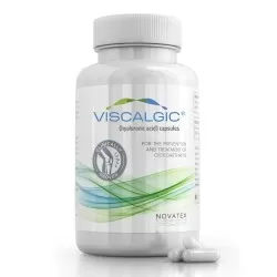 Viscalgic, 120 capsule, Novatex Bioengineering