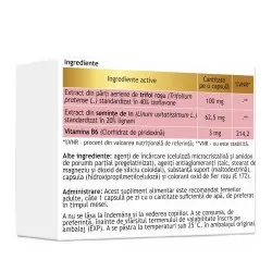 Zifelle meno, 30 capsule vegetale - Antibiotice